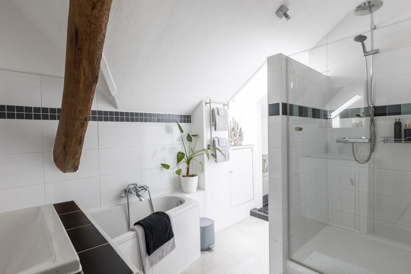 de badkamer, met bad, douche en toilet
