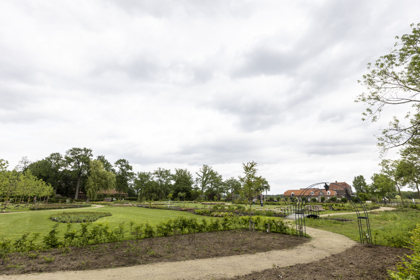 Rozenhof Lottum, een prachtige tuin vol met veel verschillende soorten rozen. Geopend van mei t/m november.